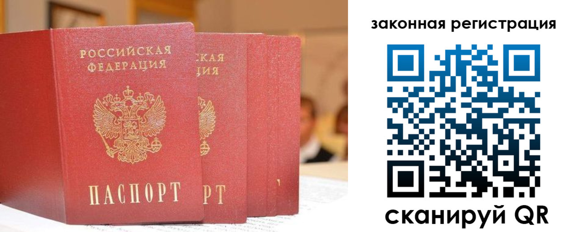 прописка поиск в Лесосибирске